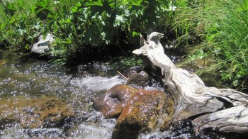 serene water view signifying the healing of grief in Marin